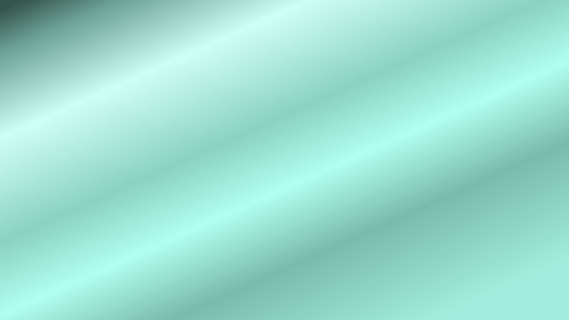 Security and accessibility dual verification system interface